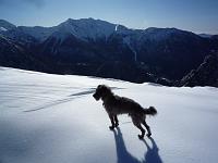 Scialpinistica da Piazzatorre al Torcola Vaga e Forcolino di Torcola domenica 21 febbraio 2010 - FOTOGALLERY